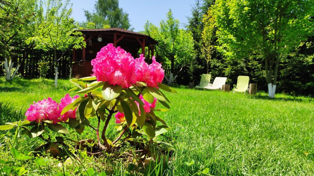 Home Away From Home Gura Rîului Exteriör bild